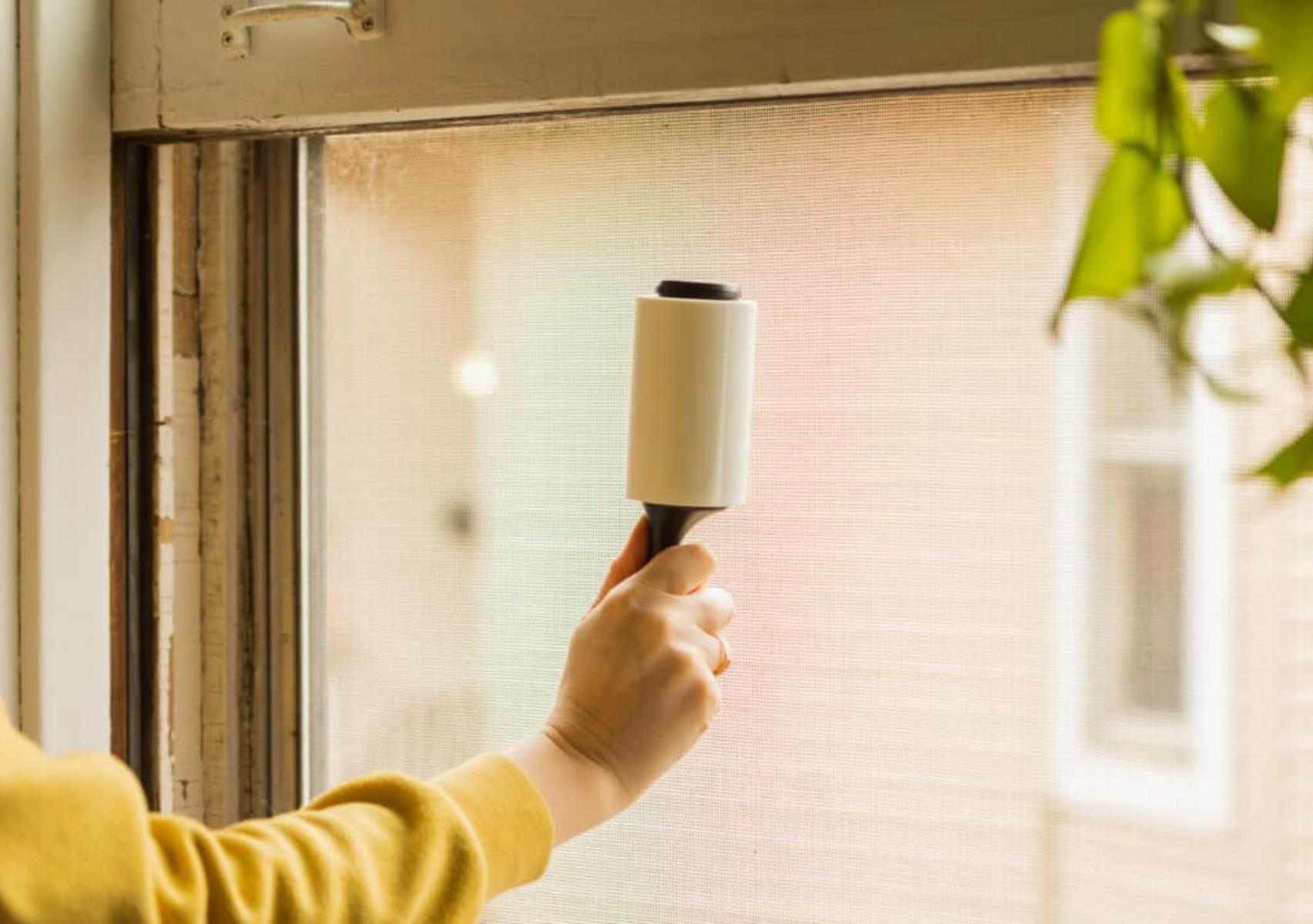 Σκόνη χνούδια και μαυρίλες από μούχλα στις σίτες: Πως να τις καθαρίσετε χωρίς να τις χαλάσετε