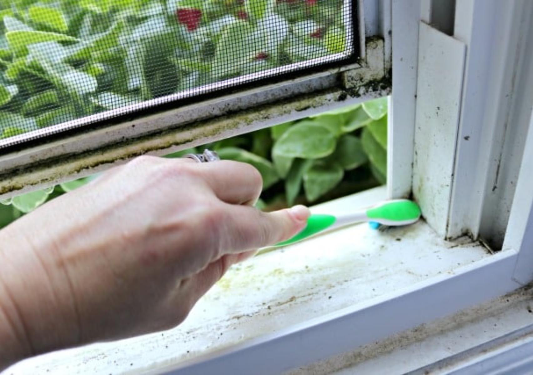 Σκόνη χνούδια και μαυρίλες από μούχλα στις σίτες: Πως να τις καθαρίσετε χωρίς να τις χαλάσετε