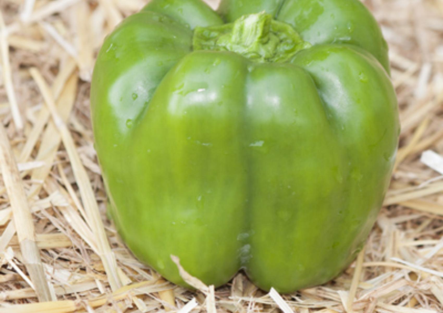 Πράσινη πιπεριά: Η διατροφική αξία της και πως βοηθάει τον οργανισμό