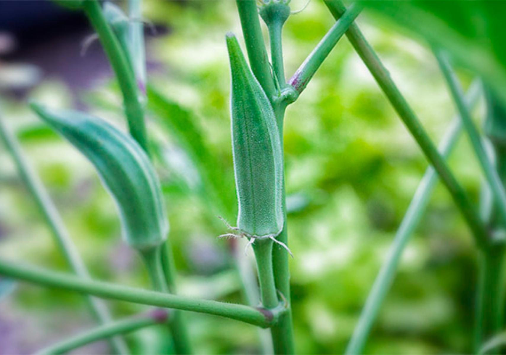 διατροφη τιτλο προλογο