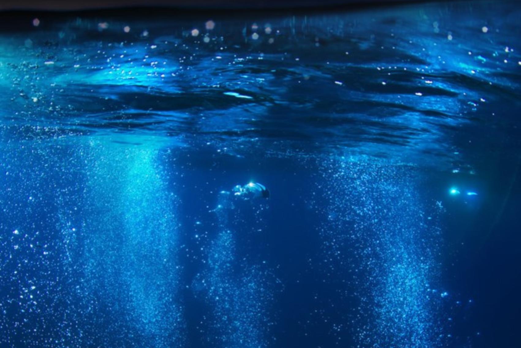 Η Θάλασσα των Αστεριών: Το εντυπωσιακό φαινόμενο με τα νερά που φωσφορίζουν τη νύχτα και μοιάζει με κινηματογραφικό εφέ