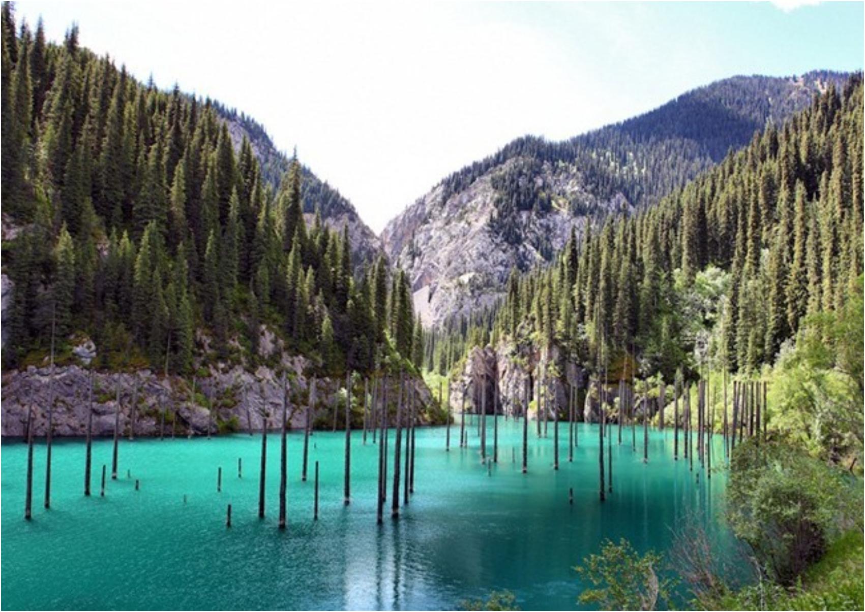 Villa Traful: Το βυθισμένο δάσος στην Kaindy Lake που μοιάζει βγαλμένο από παραμύθι