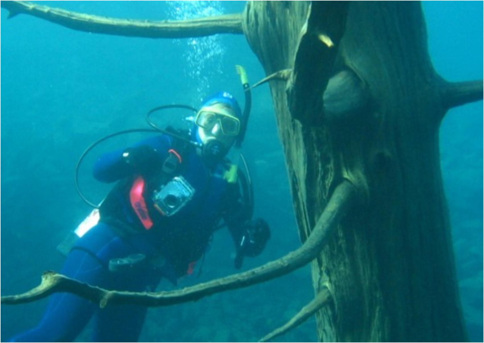 Villa Traful: Το βυθισμένο δάσος στην Kaindy Lake που μοιάζει βγαλμένο από παραμύθι