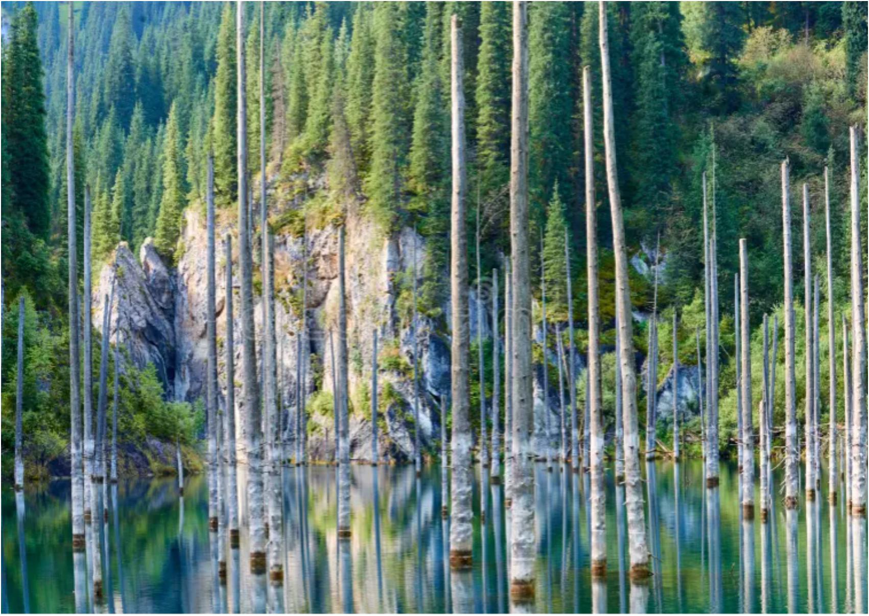 Villa Traful: Το βυθισμένο δάσος στην Kaindy Lake που μοιάζει βγαλμένο από παραμύθι
