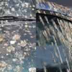 Κουτσουλιές στο αυτοκίνητο: Πως να το καθαρίσετε χωρίς να καταστραφεί το χρώμα