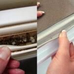 Ψυγείο: Μούχλα και υπολείμματα τροφών στο λάστιχο πως να το καθαρίσετε ευκολά χωρίς κόπο