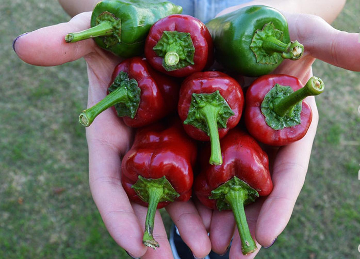 Καλοκαίρι-στα-Λουτρά-Πόζαρ-Κι-όμως-δεν-αποτελεί-αποκλειστικά-χειμωνιάτικο-προορισμό Καλοκαίρι-στα-Λουτρά-Πόζαρ-Κι-όμως-δεν-αποτελεί-αποκλειστικά-χειμωνιάτικο-προορισμό
