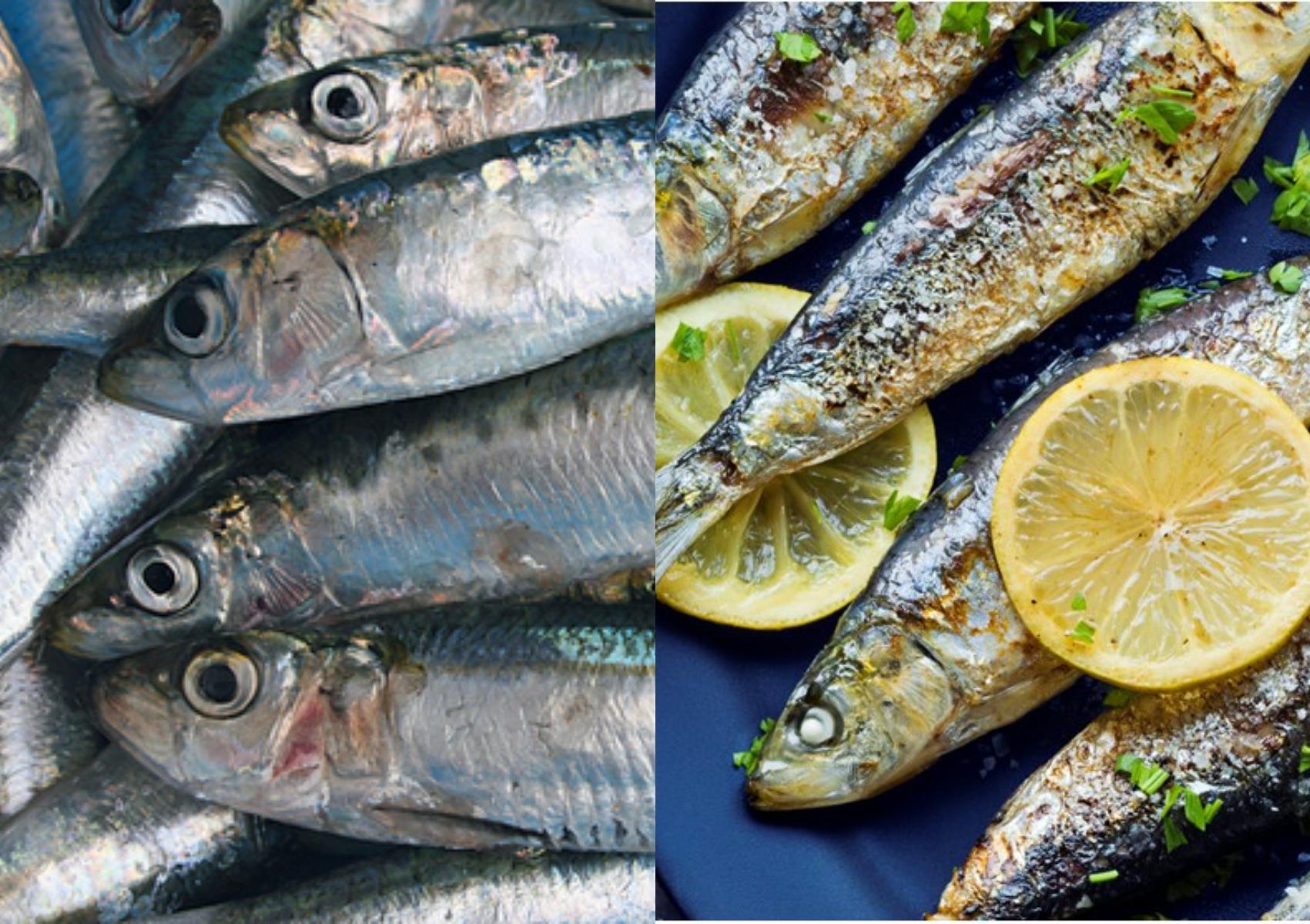 Σαρδέλα: Η διατροφική αξία της και πως βοηθάει τον οργανισμό