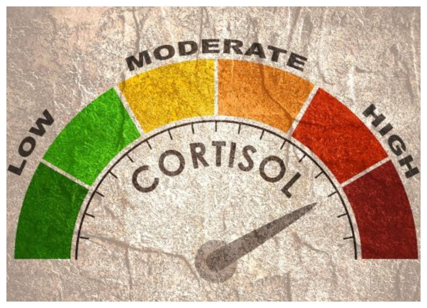 Το-άγχος-ευθύνεται-σημαντικά-για-την-εμφάνιση-της-κυτταρίτιδας-και-του-τοπικού-πάχους Το-άγχος-ευθύνεται-σημαντικά-για-την-εμφάνιση-της-κυτταρίτιδας-και-του-τοπικού-πάχους