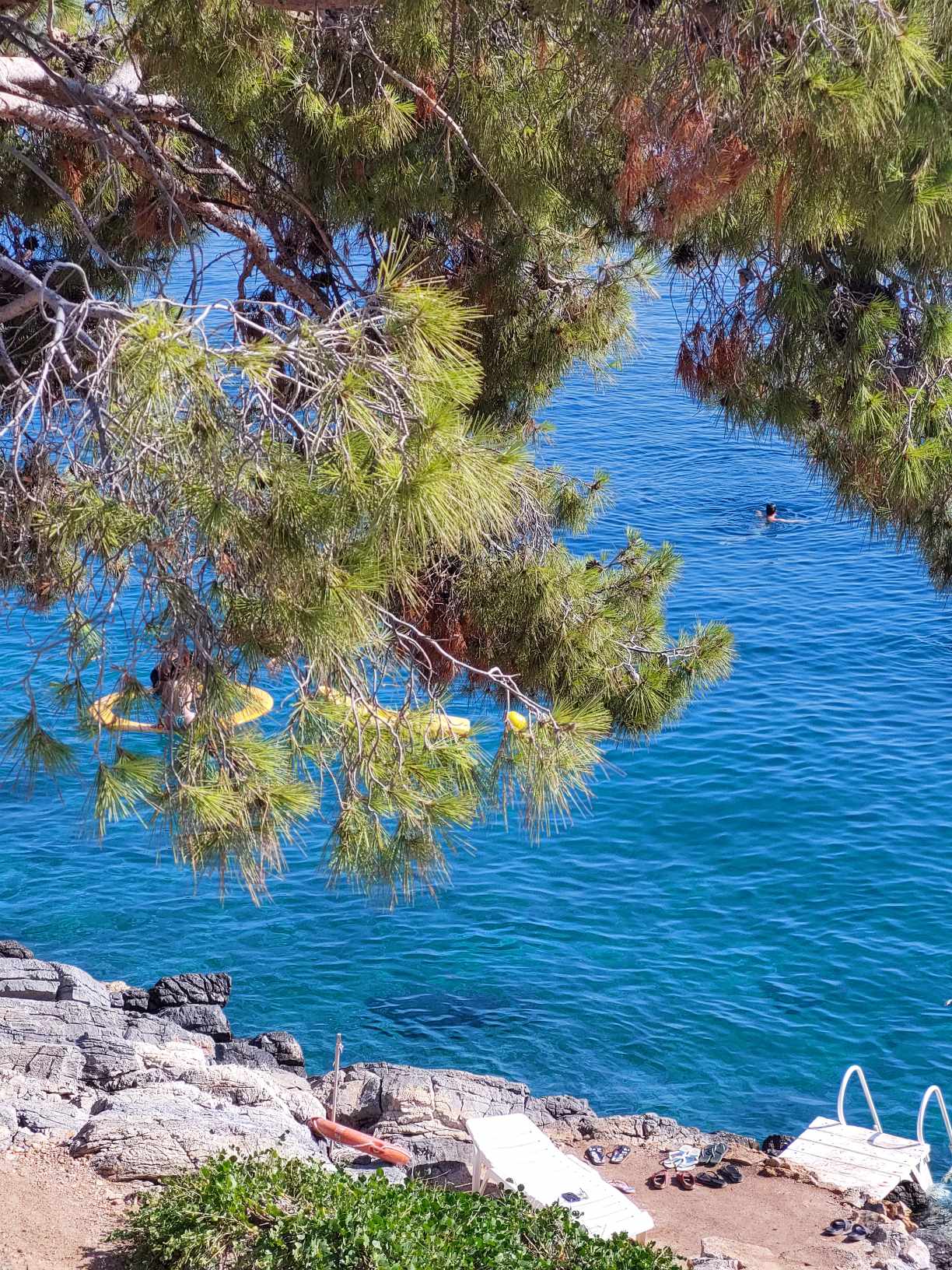 Αγκίστρι-Αργοσαρωνικός-πληροφορίες για τιμές-για-Απόνησο-για-δρομολόγια- Αγκίστρι-Αργοσαρωνικός-πληροφορίες για τιμές-για-Απόνησο-για-δρομολόγια-