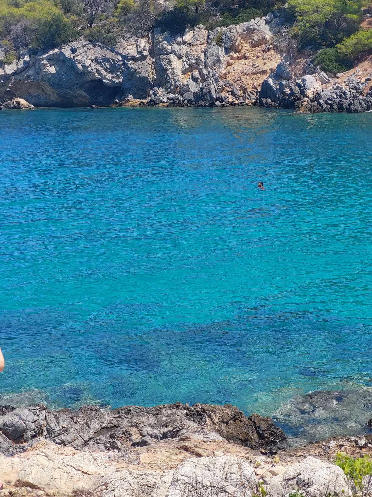 Αγκίστρι-Αργοσαρωνικός-πληροφορίες για τιμές-για-Απόνησο-για-δρομολόγια- Αγκίστρι-Αργοσαρωνικός-πληροφορίες για τιμές-για-Απόνησο-για-δρομολόγια-