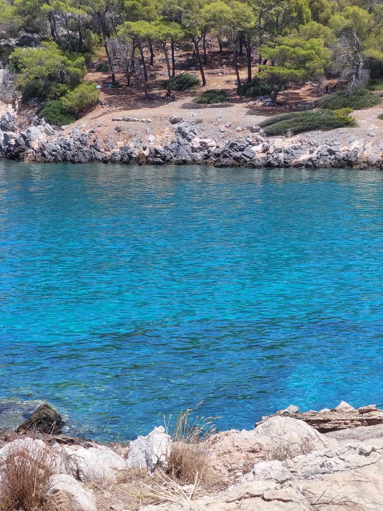 Αγκίστρι-Αργοσαρωνικός-πληροφορίες για τιμές-για-Απόνησο-για-δρομολόγια- Αγκίστρι-Αργοσαρωνικός-πληροφορίες για τιμές-για-Απόνησο-για-δρομολόγια-