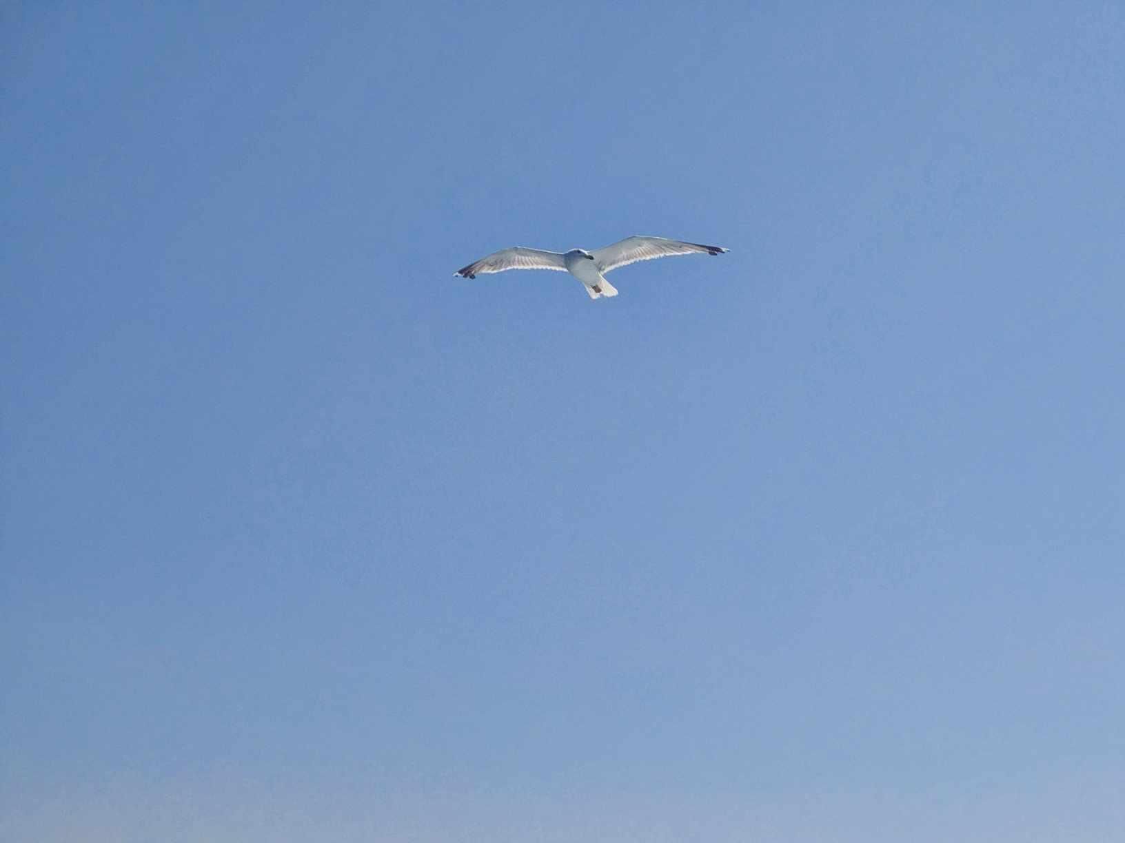 Αγκίστρι-Αργοσαρωνικός-πληροφορίες για τιμές-για-Απόνησο-για-δρομολόγια- Αγκίστρι-Αργοσαρωνικός-πληροφορίες για τιμές-για-Απόνησο-για-δρομολόγια-