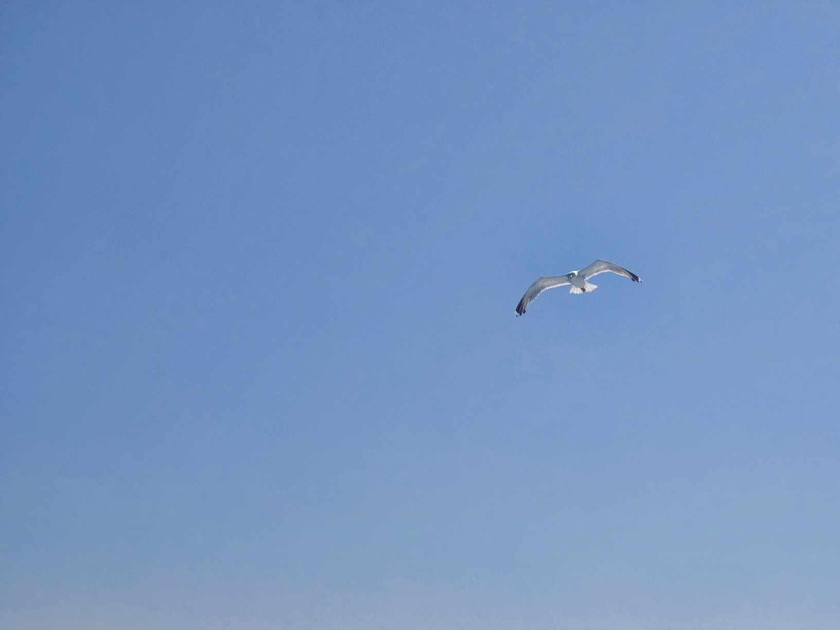 Αγκίστρι-Αργοσαρωνικός-πληροφορίες για τιμές-για-Απόνησο-για-δρομολόγια- Αγκίστρι-Αργοσαρωνικός-πληροφορίες για τιμές-για-Απόνησο-για-δρομολόγια-