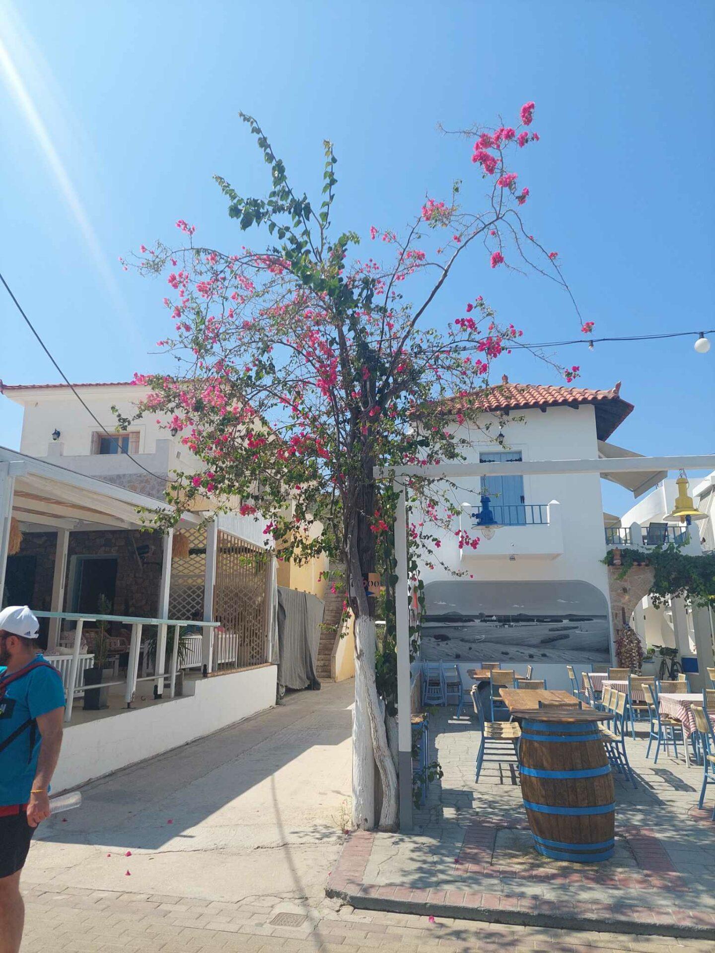 Αγκίστρι-Αργοσαρωνικός-πληροφορίες για τιμές-για-Απόνησο-για-δρομολόγια- Αγκίστρι-Αργοσαρωνικός-πληροφορίες για τιμές-για-Απόνησο-για-δρομολόγια-