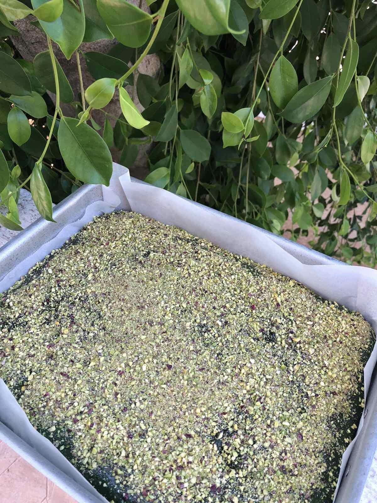 Παραδοσιακή-φυστικόπιτα-συνταγή- Παραδοσιακή-φυστικόπιτα-συνταγή-