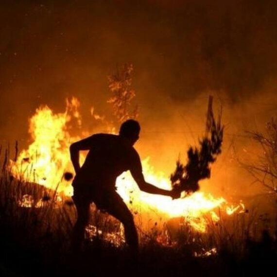 άντρας-σβήνει-φωτιά-με-κλαδί- άντρας-σβήνει-φωτιά-με-κλαδί-