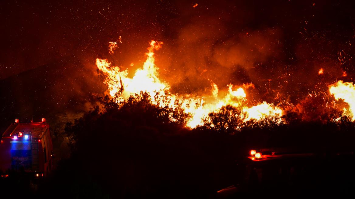 Πυγμαλίων Δαδακαρίδης-το-οργισμένο μήνυμα-για-την-φωτιά-στην-Αττική- Πυγμαλίων Δαδακαρίδης-το-οργισμένο μήνυμα-για-την-φωτιά-στην-Αττική-