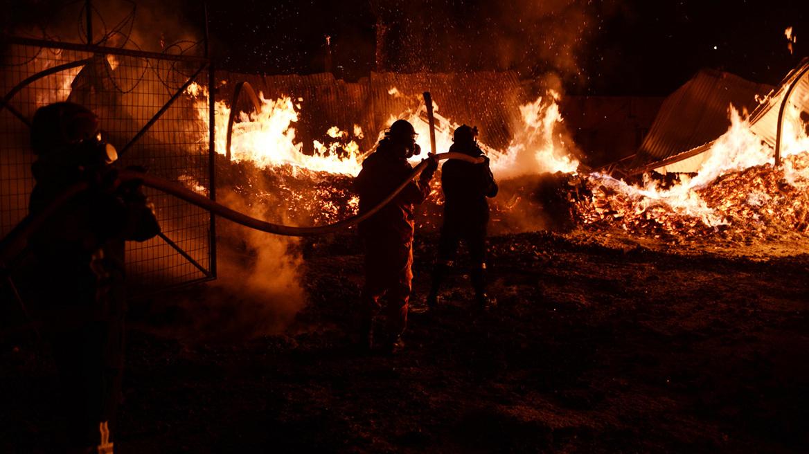 Πυγμαλίων Δαδακαρίδης-το-οργισμένο μήνυμα-για-την-φωτιά-στην-Αττική- Πυγμαλίων Δαδακαρίδης-το-οργισμένο μήνυμα-για-την-φωτιά-στην-Αττική-