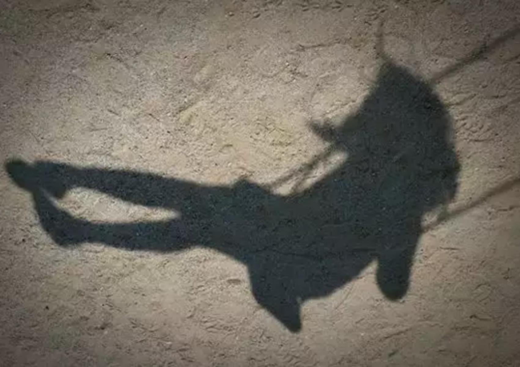 Εγκλήματα ανηλίκων που συγκλόνισαν την Ελλάδα