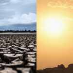 Καύσωνας : Οι θάνατοι θα τριπλασιαστούν μέχρι το τέλος του αιώνα