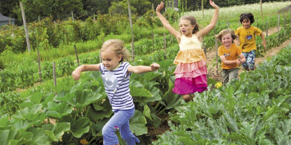 τα-νήπια-που-ζουν-στην-επαρχία-έχουν-λιγότερα-ψυχολογικά προβλήματα-έρευνα- τα-νήπια-που-ζουν-στην-επαρχία-έχουν-λιγότερα-ψυχολογικά προβλήματα-έρευνα-