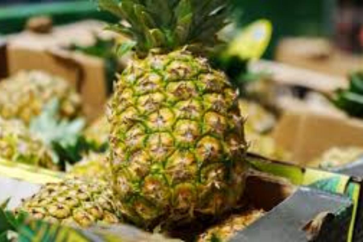 Χαμός με τον ανανά :  Τον αγοράζουν για να βρουν ταίρι -Πανζουρλισμός στα καταστήματα