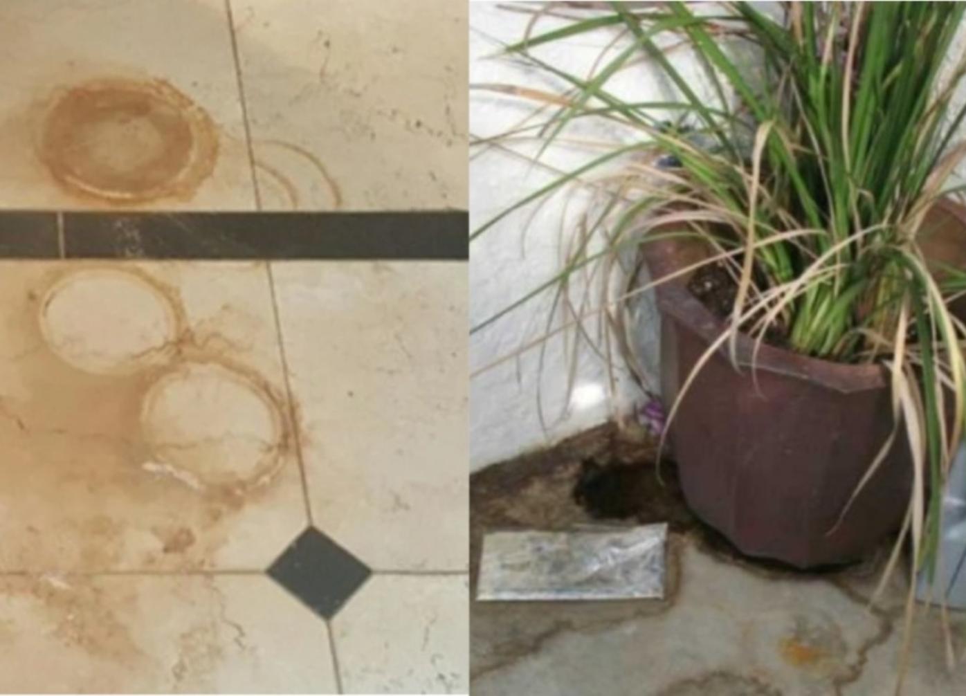 Λάσπη-φύλλα-και-ακαθαρσίες-στην-αυλή-από-την-βροχή-Πως-να-τα-καθαρίσεις-εύκολα