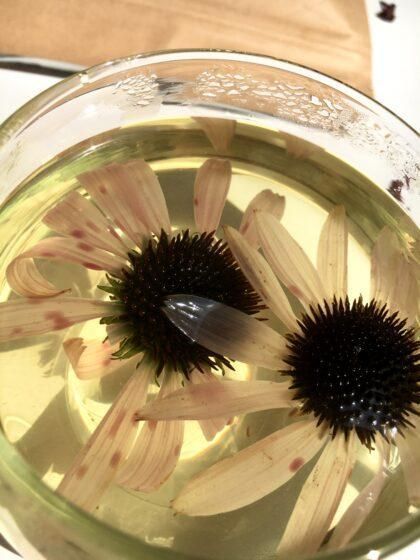 ροφήματα-για-να-προστατευθούμε-από-την-εποχική γρίπη-και-το-κρυολόγημα- ροφήματα-για-να-προστατευθούμε-από-την-εποχική γρίπη-και-το-κρυολόγημα-