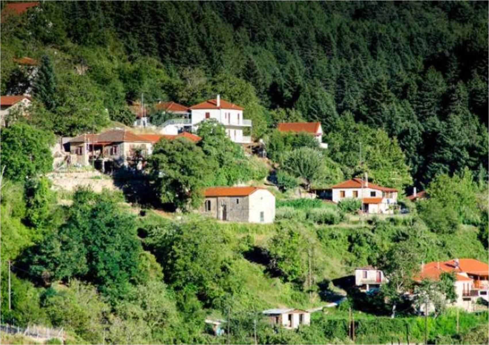 Ζαρούχλα: Φθινοπωρινή απόδραση στο ελατοσκέπαστο χωριό της ορεινής Αχαΐας