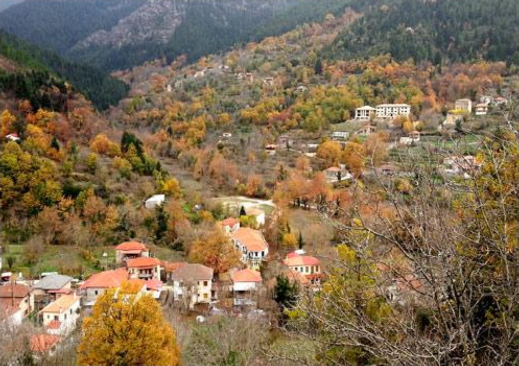 Ζαρούχλα: Φθινοπωρινή απόδραση στο ελατοσκέπαστο χωριό της ορεινής Αχαΐας