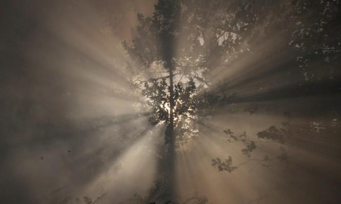 8+1 σημάδια που δείχνουν ότι κάποιος θα πεθάνει σε μία εβδομάδα