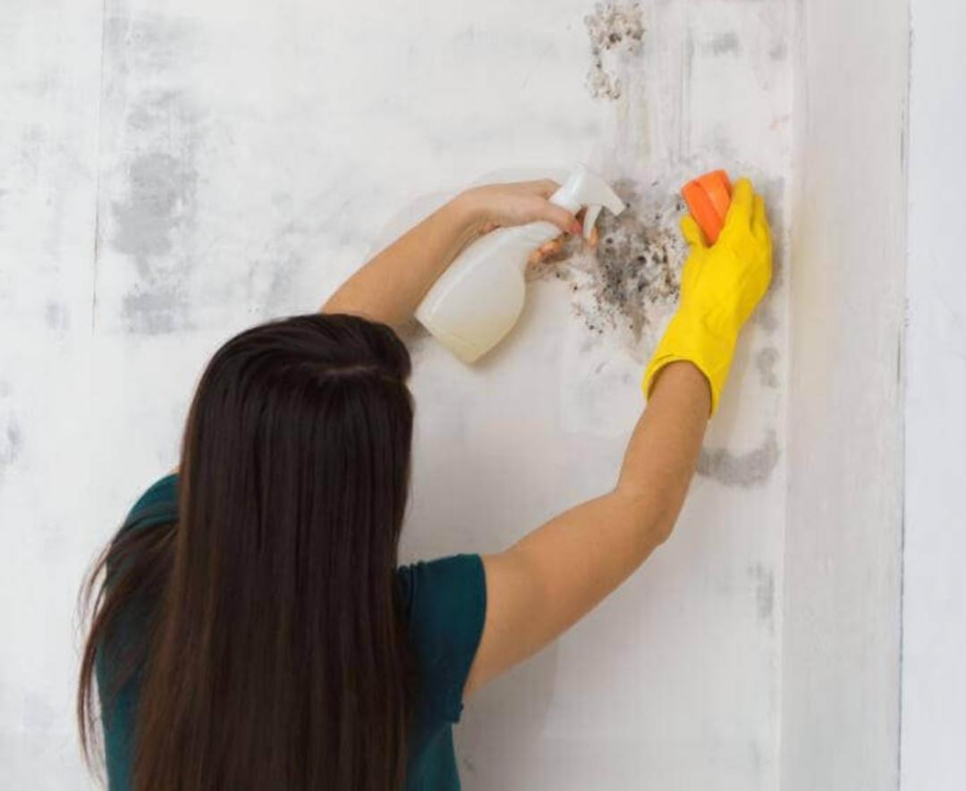 Μούχλα-στους-τοίχους-Πως-θα-την-εξαφανίσετε-οριστικά Μούχλα-στους-τοίχους-Πως-θα-την-εξαφανίσετε-οριστικά
