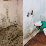 Πράσινοι και μαύροι λεκέδες στους τοίχους: Πως θα εξαφανίσετε οριστικά την μούχλα