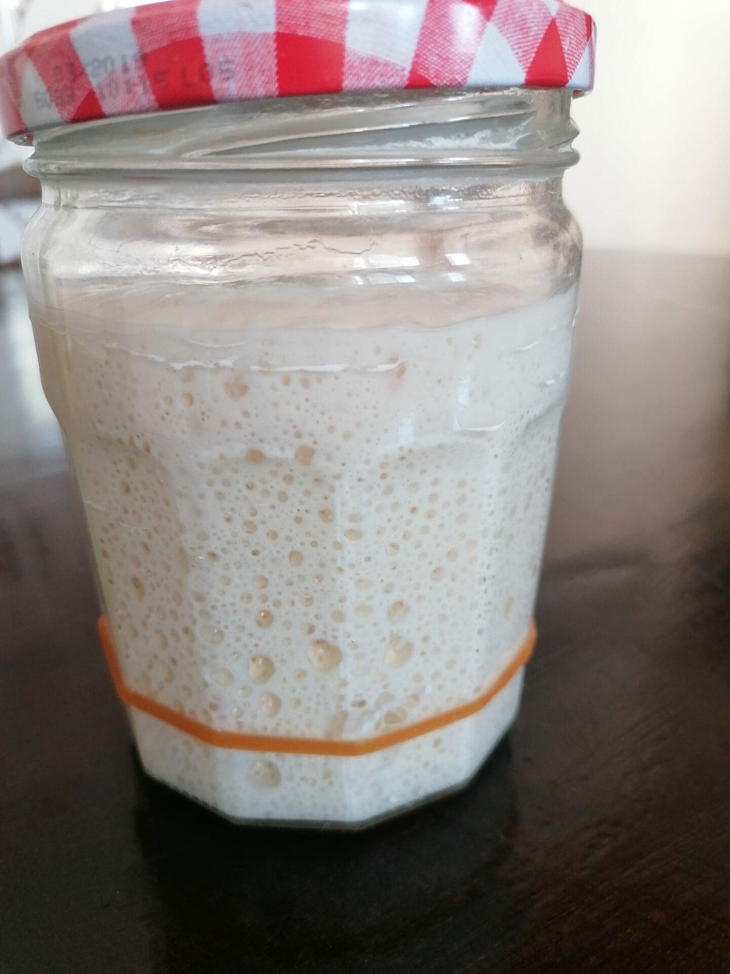 ψωμί-με-φυσικό προζύμι-και-καρύδια-συνταγή- ψωμί-με-φυσικό προζύμι-και-καρύδια-συνταγή-