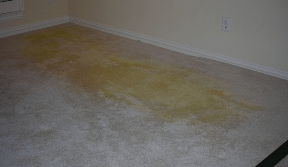 Σπιτικά καθαριστικά για μούχλα υγρασία και κλεισούρα στα χαλιά πριν τα στρώσουμε για τον Χειμώνα