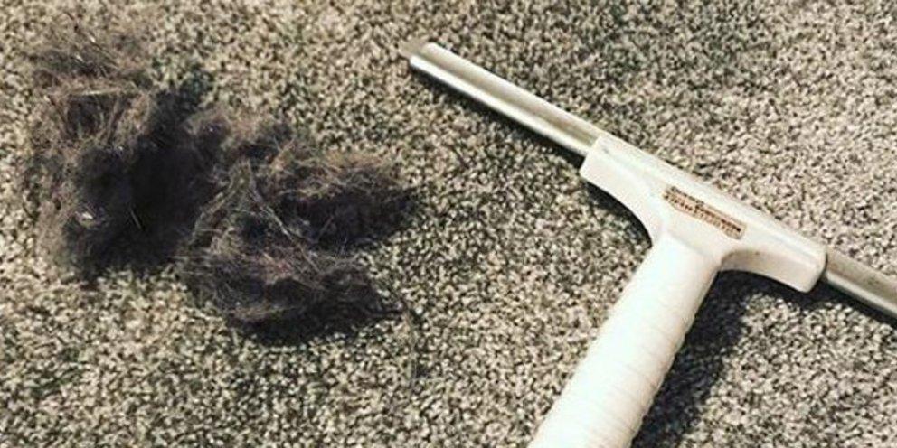 5+1φυσικοί και οικονομικοί τρόποι για να αφαιρέσετε τις τρίχες από τα χαλιά σας