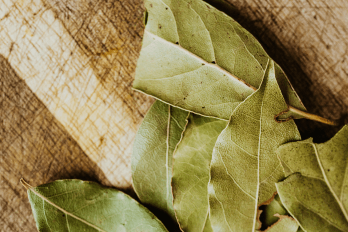 Γιατί πρέπει να βάζετε φύλλα δάφνης στο νερό πριν από τις 24 Δεκεμβρίου