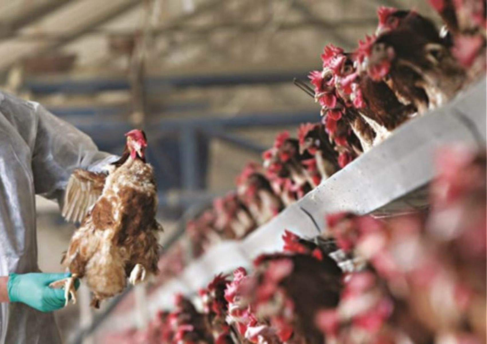 Πανδημία 2025: Οι 11 ασθένειες που ανησυχούν τους γιατρούς