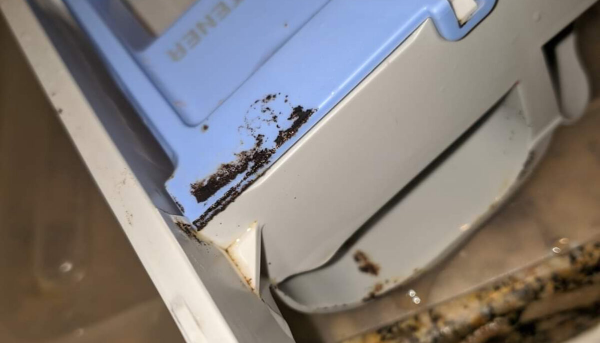 Μυρωδιά μούχλας στα πλυμένα ρούχα : Το κρυφό κουμπί στο πλυντήριο που θα τα κάνει μαλακά και μοσχομυριστά