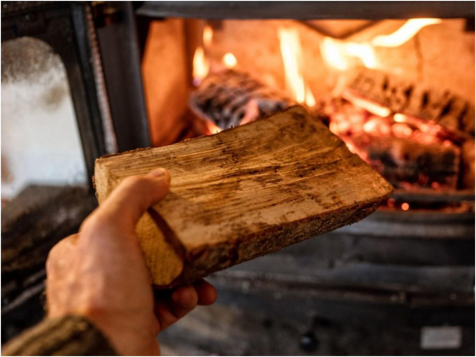 Σαράκι στα καυσόξυλα : Πως θα το καταλάβετε πριν σας “φάει” τα έπιπλα- 2+1 τρόποι να το αντιμετωπίσετε άμεσα