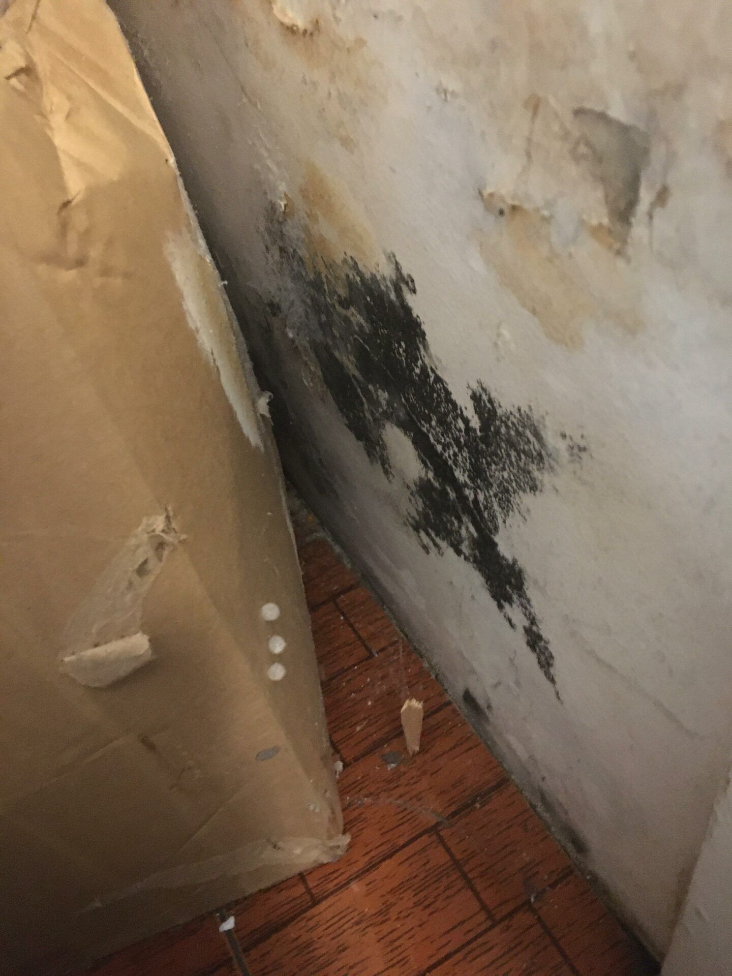 Σπιτικό καθαριστικό για τη ντουλάπα που προστατεύει το ξύλο και διώχνει την υγρασία