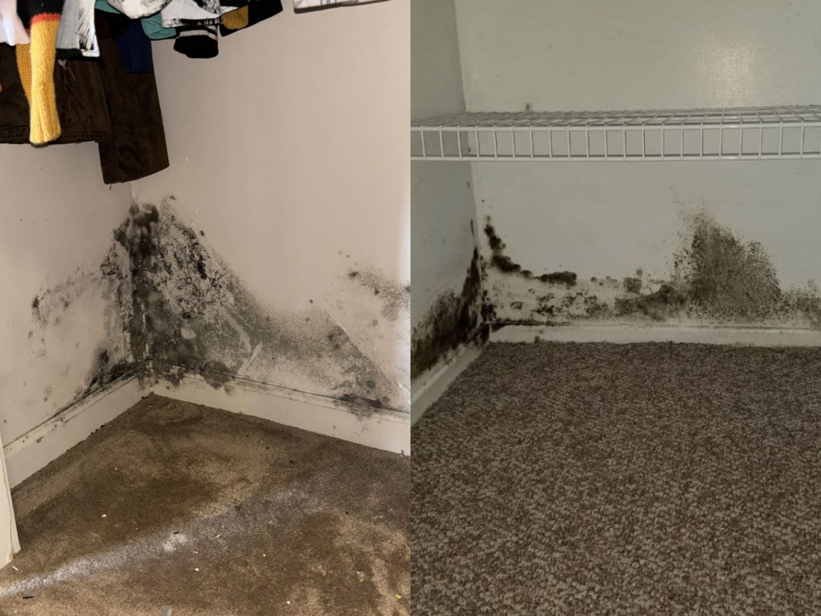 Σπιτικό καθαριστικό για τη ντουλάπα που προστατεύει το ξύλο και διώχνει την υγρασία