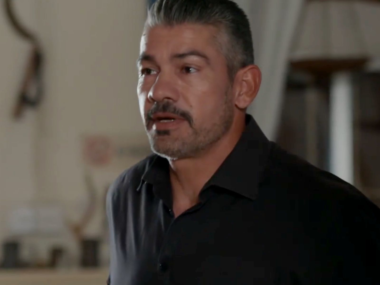 Η-Γη-της-Ελιά-Αποστόλης- Η-Γη-της-Ελιά-Αποστόλης-