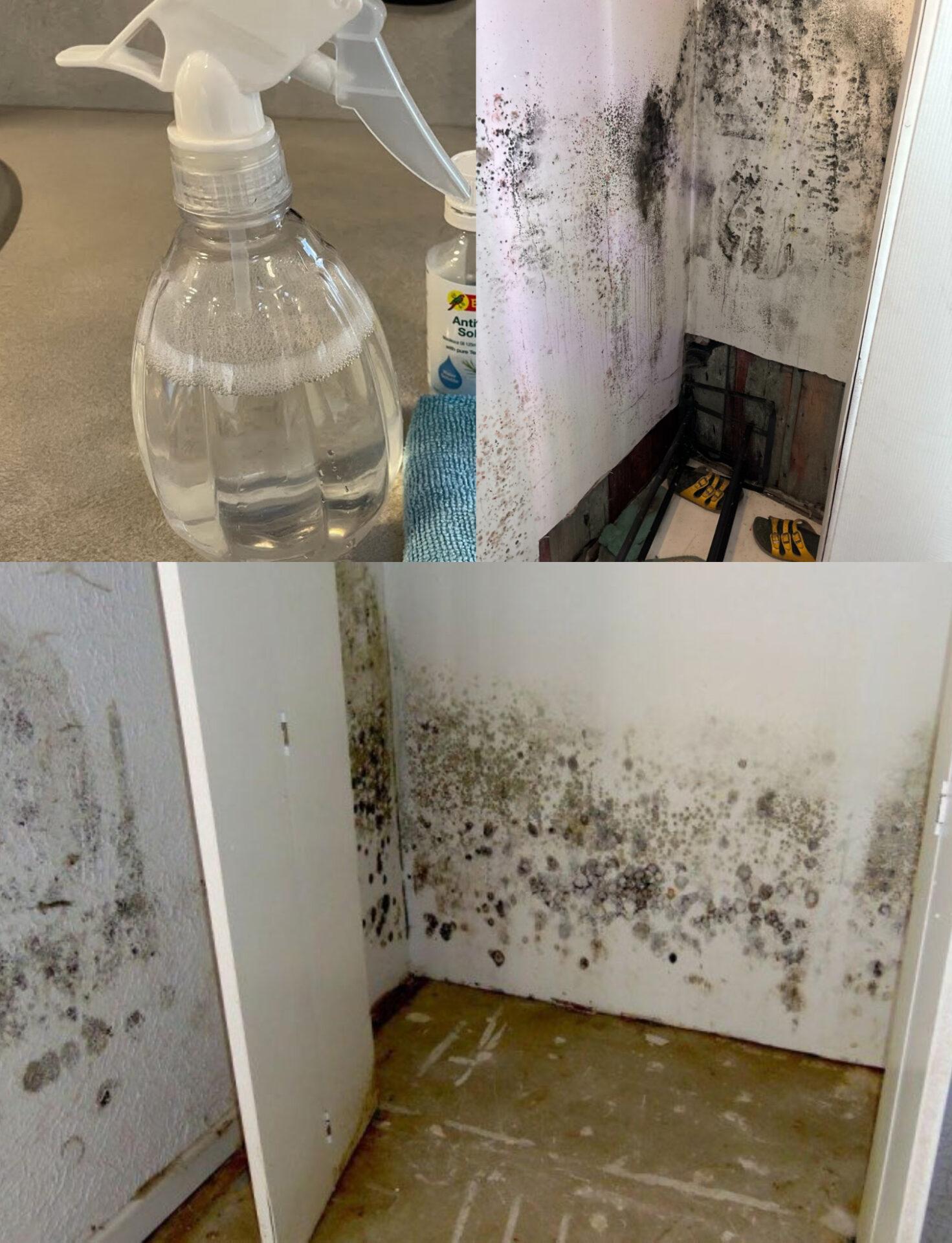 Σπιτικό καθαριστικό για τη ντουλάπα που προστατεύει το ξύλο και διώχνει την υγρασία