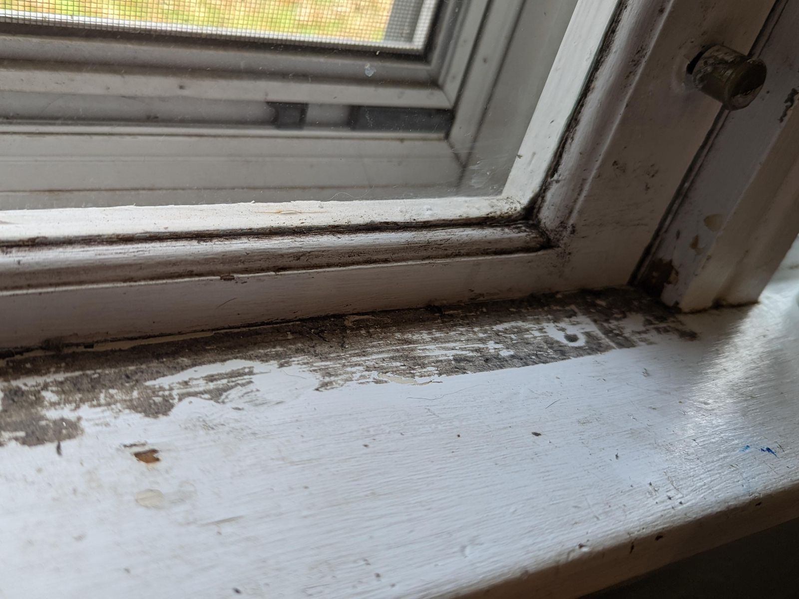 6 κόλπα για το καθάρισμα του σπιτιού από την ειδικό καθαριότητας  Carolyn Forté