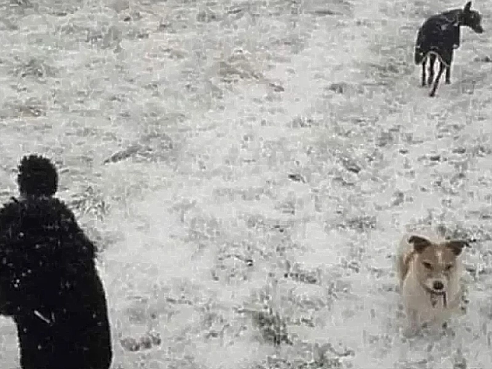 Τεστ παρατηρητικότητας: