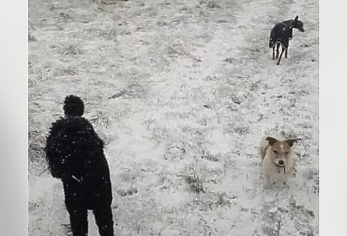 Τεστ ψευδαίσθησης: