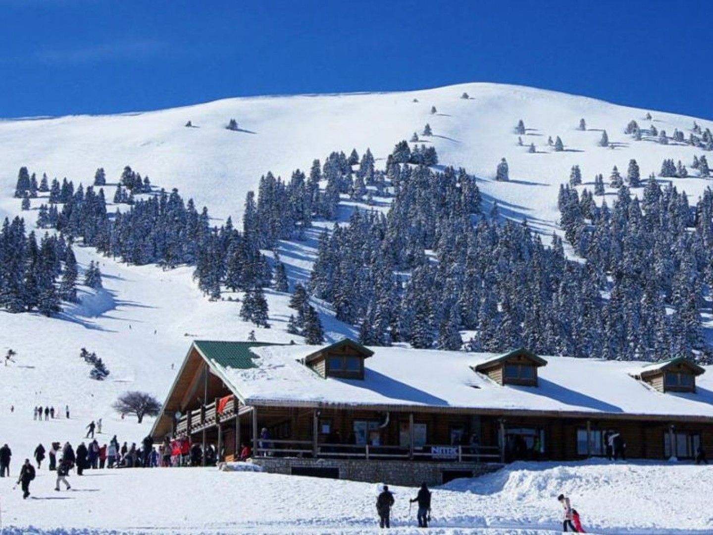 Ζαρούχλα: Το καταπράσινο χωριό της Πελοποννήσου 2 ώρες μακριά από την Αθήνα