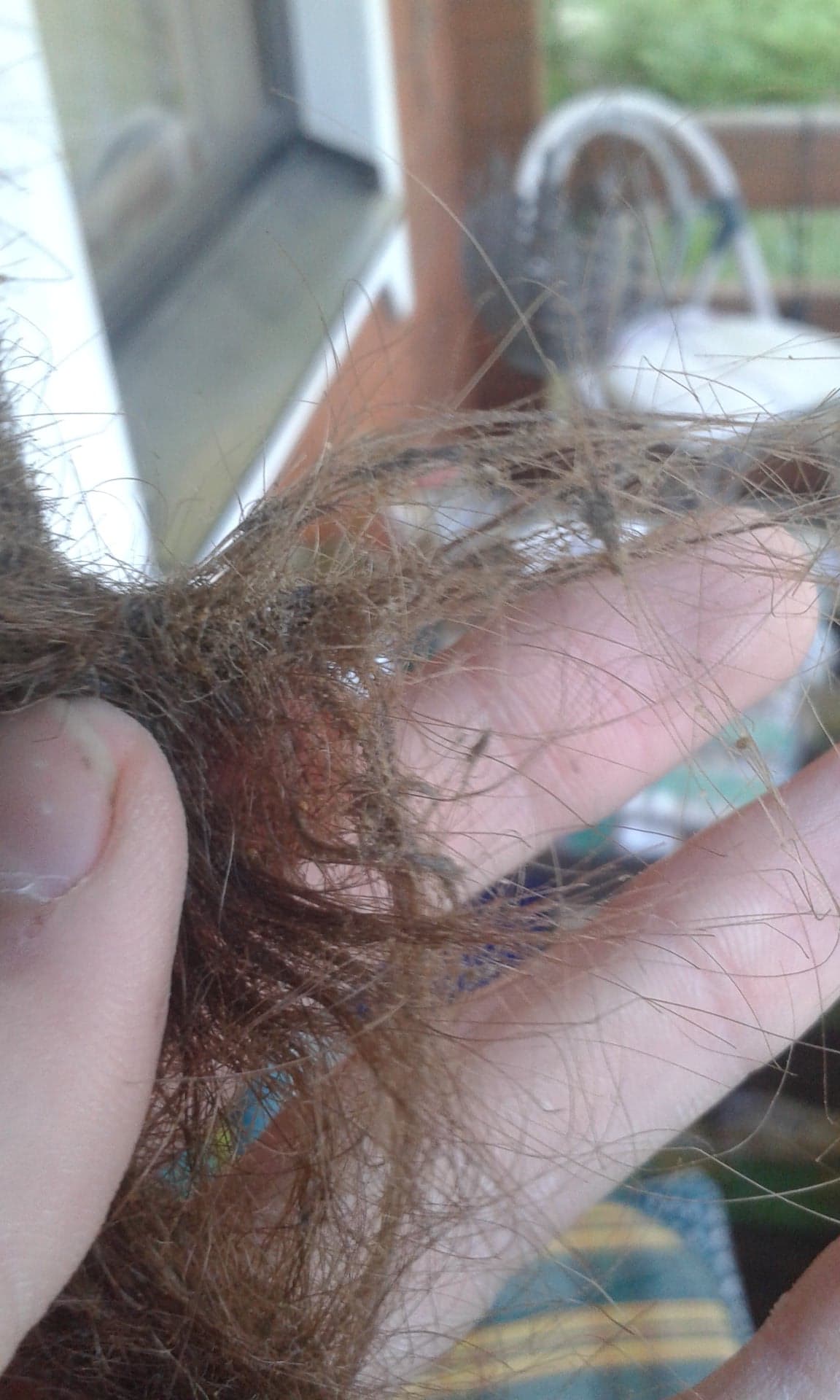 Μούχλα στα μαλλιά: Ο Λόγος που δεν πρέπει να κοιμόμαστε με βρεγμένα μαλλιά